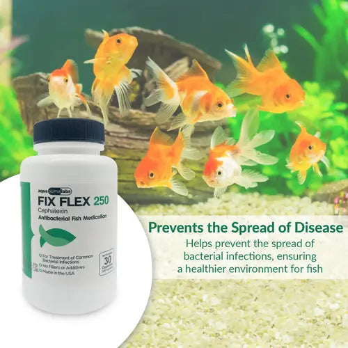 Fish Ceph 250mg Capsules for Aquarium Fish โ 30 Count โ Water Care Support