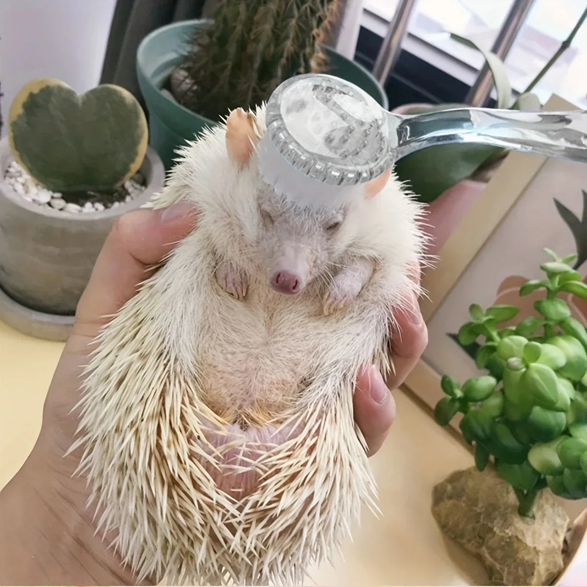 1pc-Plastic Hamster Brush with Soft Bristles - Transparent Pet Grooming Comb for Mice and Small Animals