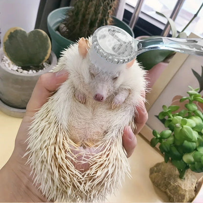 1pc-Plastic Hamster Brush with Soft Bristles - Transparent Pet Grooming Comb for Mice and Small Animals