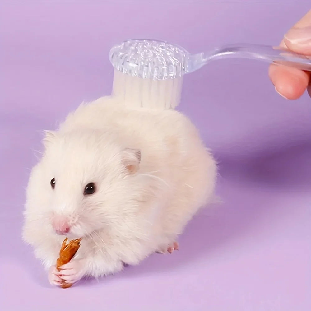 1pc-Plastic Hamster Brush with Soft Bristles - Transparent Pet Grooming Comb for Mice and Small Animals
